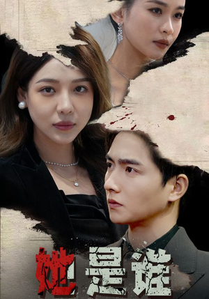 她是谁（79集）评价怎么样