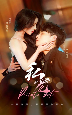 私宠(94集) 私宠(94集)高清画质免费看