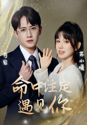 命中注定遇见你(96集) 命中注定遇见你(96集)推荐好短剧