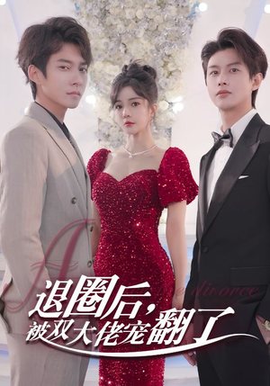 退圈后，被双大佬宠翻了（78集）在哪里可以看