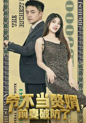 爷不当赘婿，前妻破防了（80集）好看到停不下来