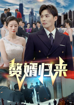 赘婿归来（101集）剧情简介