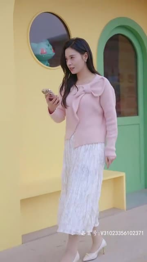 你是我的爱情VIP（100集）演员表