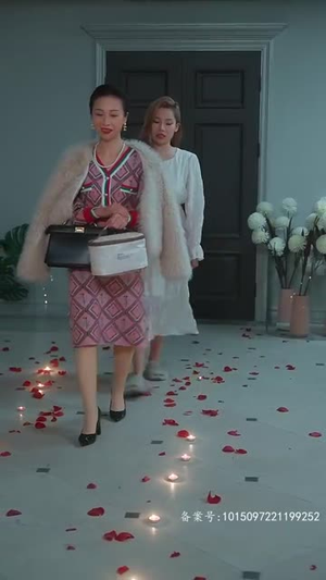 离婚前我拿回了所有（85集）全集一网打尽