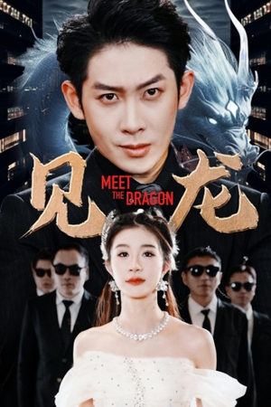 见龙（78集）分享好看短剧