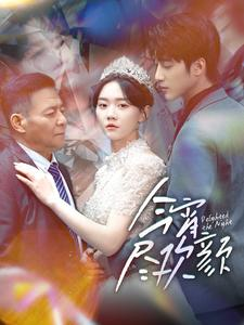 今宵尽欢颜（99集）精彩短剧分享