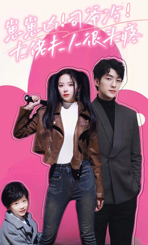 崽崽凶！司爷冷！大佬夫人很头疼（80集）精彩连连免费看