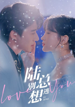 陆总别想逃(80集) 陆总别想逃(80集)短剧免费看