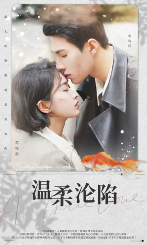 温柔沦陷（50集）经典老剧免费看