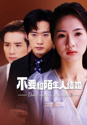 不要和陌生人结婚(90集) 不要和陌生人结婚(90集)女主谁演的