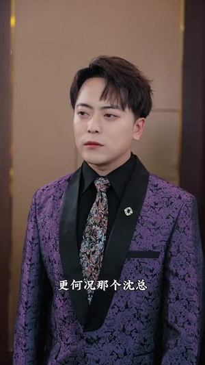 龙虎之喋血追凶（80集）爆款短剧追不停