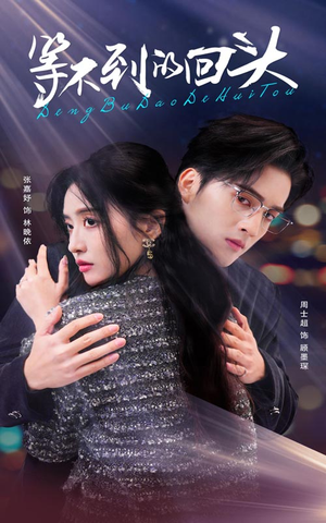 等不到的回头(35集) 等不到的回头(35集)解说