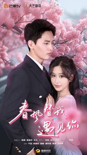 春风替我遇见你（100集）爆款短剧抢先看