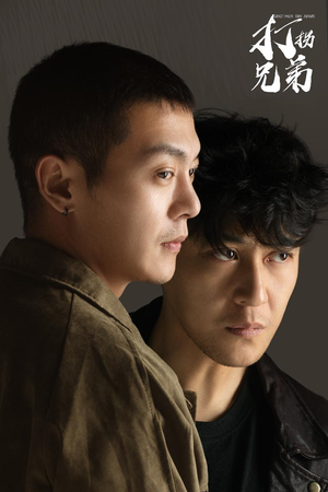 打拐兄弟（30集）红果短剧看全集