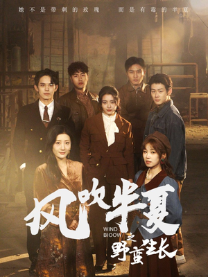 风吹半夏之野蛮生长(59集) 风吹半夏之野蛮生长(59集)短剧全集大结局