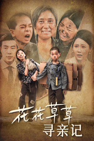 花花草草寻亲记（42集）真的好看吗