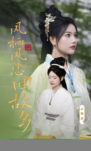 凤栖凤息回故乡（36集）评价怎么样