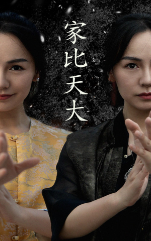 家比天大(63集) 家比天大(63集)全剧看到大结局