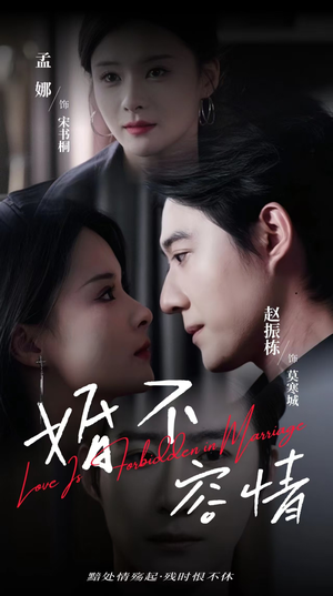 婚不容情（89集）爆款短剧追不停