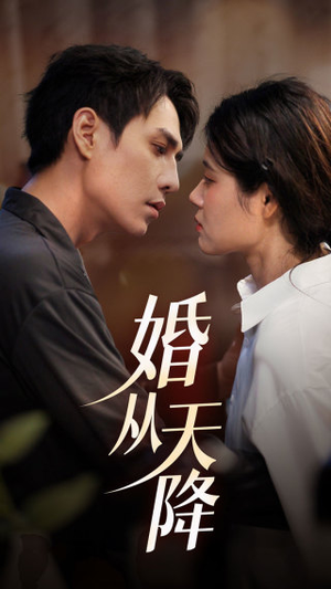 婚从天降（92集）最热短剧推荐