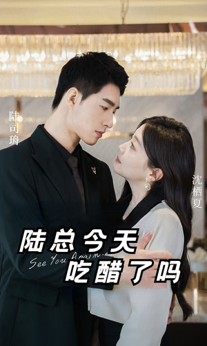 陆总今天吃醋了吗（50集）短剧更新抢先看