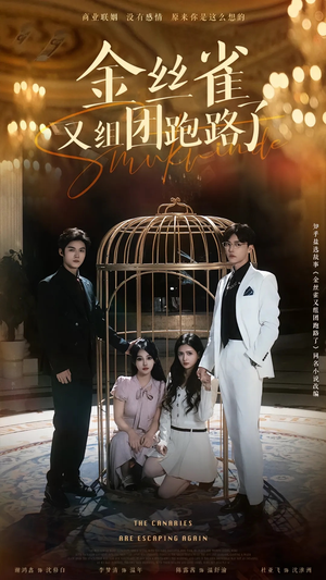金丝雀又组团跑路了（长篇）全部免费看全集