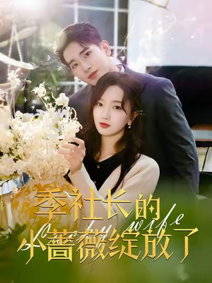 季社长的小蔷薇绽放了（60集）最火短剧热播中