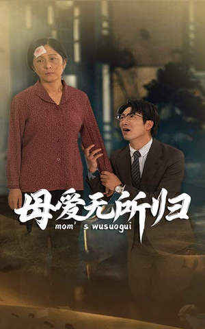 母爱无所归(33集) 母爱无所归(33集)今日最火短剧