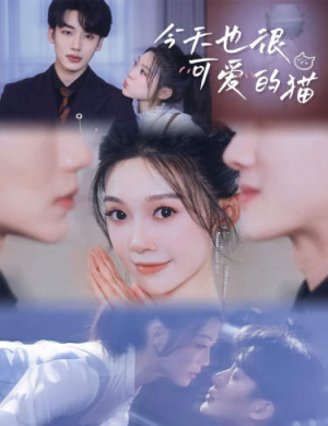 今天也很可爱的猫（72集）口碑爆棚免费看