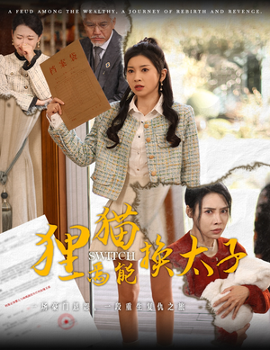 狸猫焉能换太子（30集）看到大结局