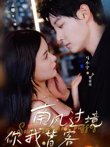 南风国境你我皆客（80集）新短剧推荐