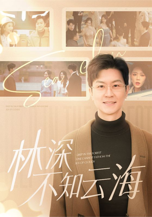 林深不知云海（84集）最热短剧推荐