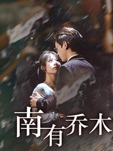 南有乔木（60集）真的太精彩了