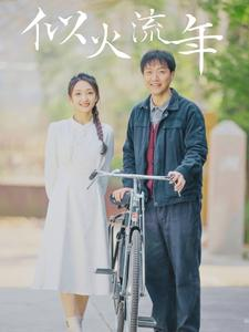 似火流年(100集) 似火流年(100集)免费看