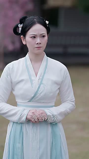 韶华叹（87集）一共多少集