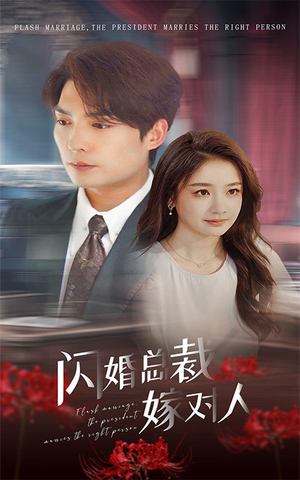 闪婚总裁嫁对人（30集）常回家看看短剧