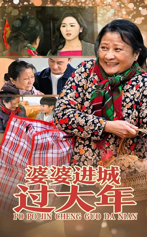 婆婆进城过大年（33集）我真的爱了