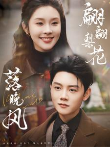 翩翩梨花落晚风（84集）第一季