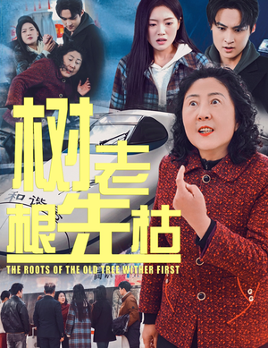 树老根先枯（33集）男主角是谁