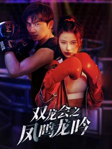 双龙会之凤鸣龙吟（80集）短剧在哪个平台