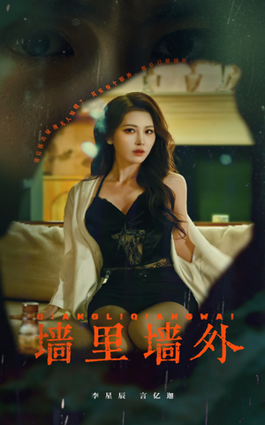 墙里墙外（55集）短剧完整版免费