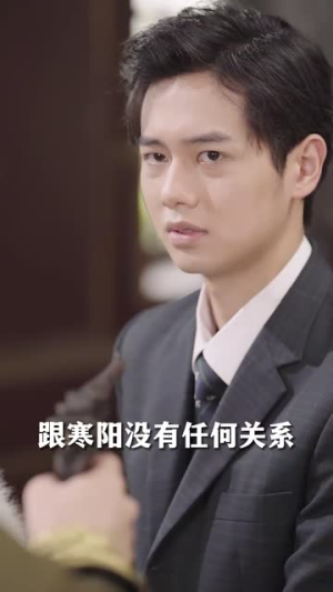 少帅的笼中鸟（70集）经典老剧免费看