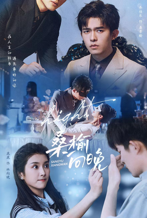 桑榆向晚（65集）热门短剧分享