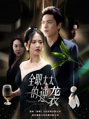 全职太太的逆袭（80集）热播短剧抢先看