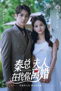 秦总,夫人在找你离婚(79集) 秦总,夫人在找你离婚(79集)女频短剧推荐