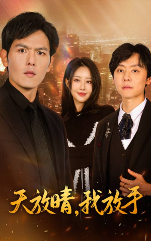 天放晴,我放手(35集) 天放晴,我放手(35集)短剧在线更新