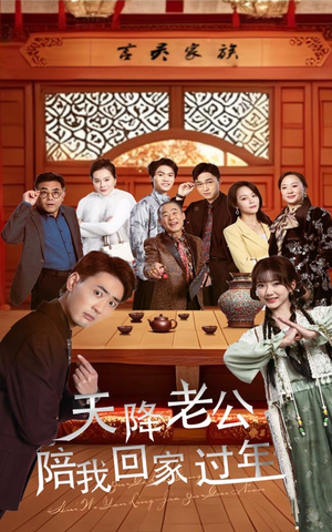 天降老公陪我回家过年（60集）精彩短剧随心推