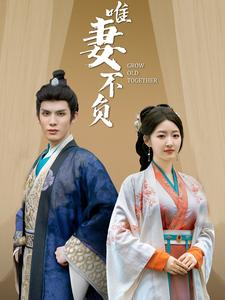 唯妻不负(80集) 唯妻不负(80集)一口气看完全集