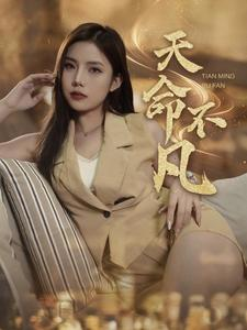 天命不凡（28集）在线播放