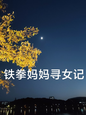 铁拳妈妈寻女记（69集）好看短剧抢先看